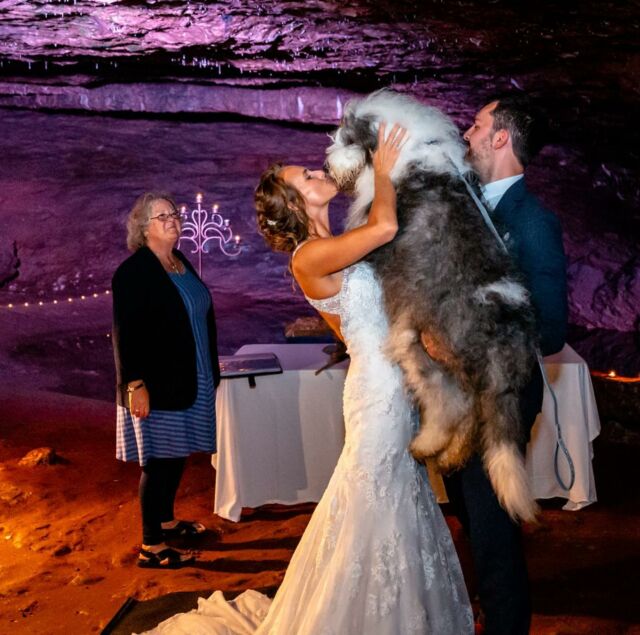 A L I S O N ~ A fluffy dog . . In a shot . . At a wedding . . In Wookey Hole Caves 🧙🏻‍♀️- just wow!? Swipe left for more amazing photos! 
This was such a memorable and fun day and, despite pouring rain, everyone had the best time. 
Hair and make up for the bride was a pleasure and she looked wonderfully glowing for the ceremony with Archie taking centre stage!? I’m sure Steve didn’t mind at all 😁
Are you looking for or did you do something a bit ‘different’? #bathweddings #wookeyholecaves #alternativewedding #cavewedding #dogsatweddings #bathweddingsupplier #bathbridalhair #bathbridalhairandmakeup #glowingbride #brideshairandmakeup